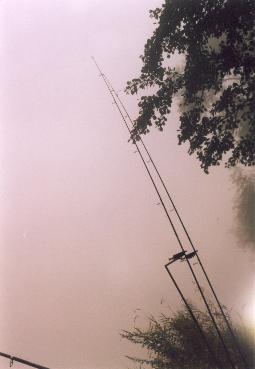 Fotka 06