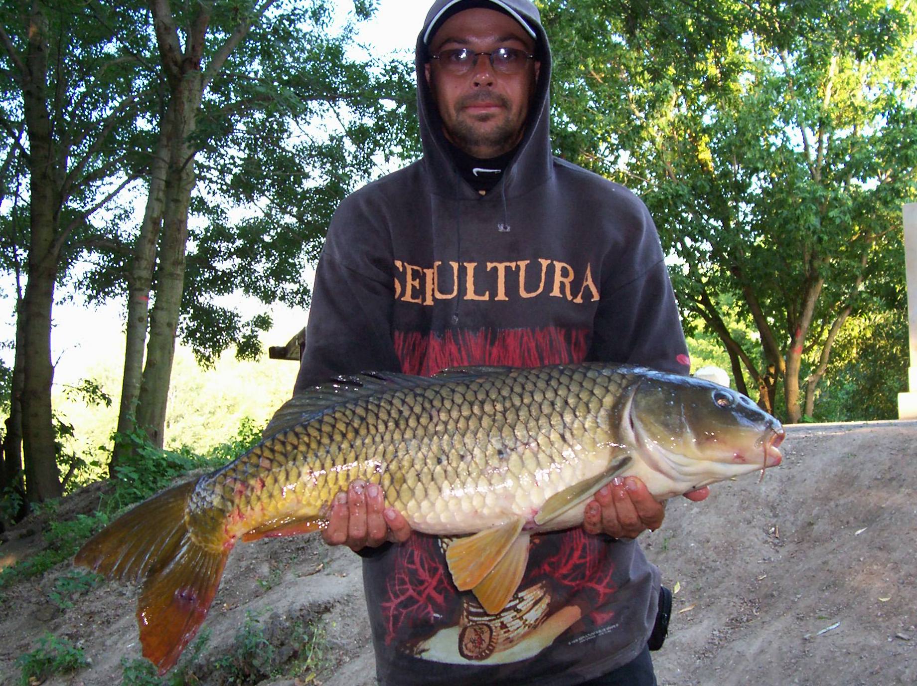 p.Trunda 7